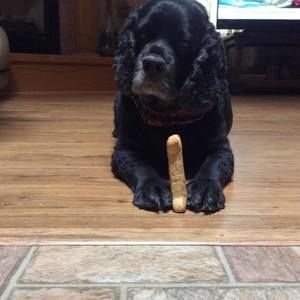 Meet your Posher, Elizabeth